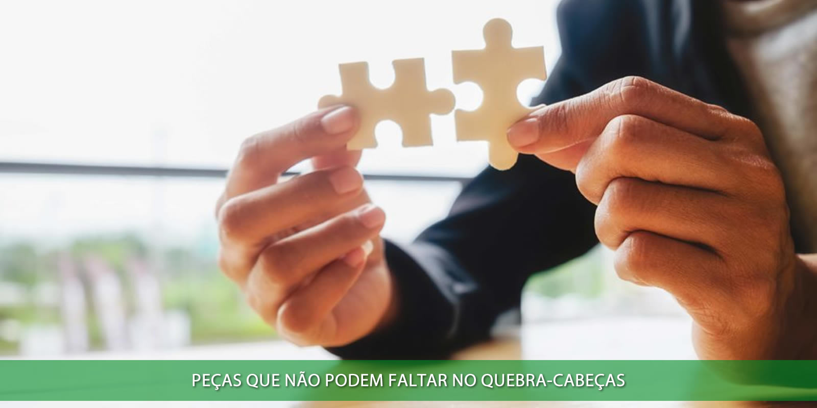 Figura 4 - PROFISSIONAL DE SUCESSO. AS 5 HABILIDADES INDISPENSÁVEIS EM SEU PERFIL